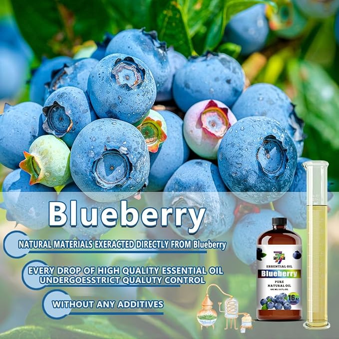 Blueberry Essential Oil - Blueberry Oils for Diffusers, Humidifiers, DIY Candles, Soap, Cleaning, Home, Office, Yoga, Massage, Gifts - 16 fl oz (480 ml) - GV77ZF