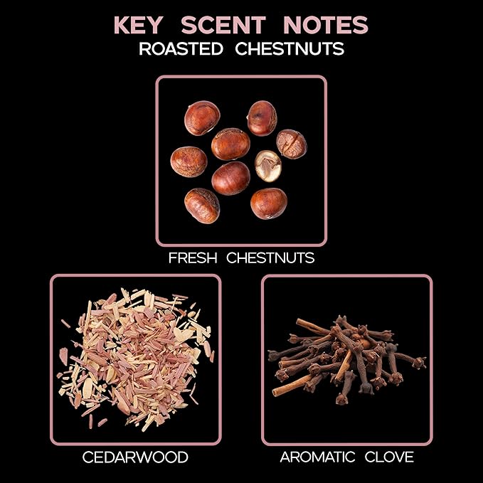 Reed Diffuser Set, Roasted Chestnuts Scented Oil Diffuser with Sticks, Home Fragrance Accessories for Bathroom Shelf Decor, Aroma Diffusers for Home or Office Fall Decor, USA Made