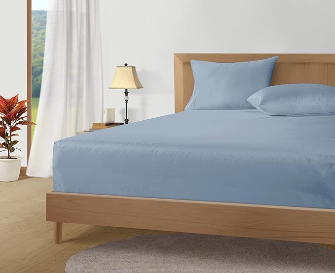 LANE LINEN Pillows Queen Size Set of 2, Soft 100% Egyptian Cotton, Cool & Smooth Pillow Cases - Swiss Dot - French Blue