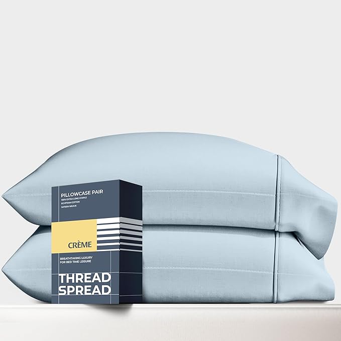 THREAD SPREAD 100% Egyptian Cotton Pillow Cases Queen Size Set of 2 - Luxury 1500 Series Queen Pillow Cases (Light Blue), Soft Cooling Envelope Closure Hotel Quality Egyptian Cotton Pillowcases