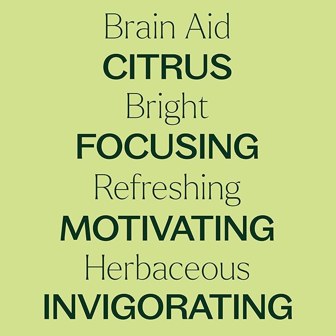 Plant Therapy Brain Aid Essential Oil Blend 10 mL (1/3 oz), 100% Pure & Undiluted, Aromatherapy for Focus, Concentration & Mental Clarity