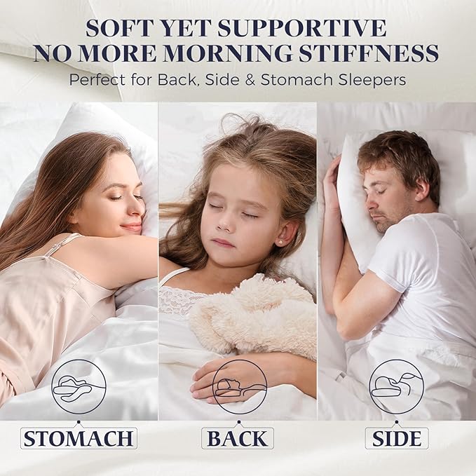 Basic Beyond Queen Size Pillows for Sleeping - Soft Down Alternative Pillows Luxury Hotel Collection Bed Pillows Queen Size Set of 2,Black,20x28 Inches