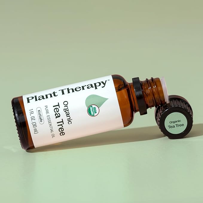 Plant Therapy Organic Tea Tree Oil (Melaleuca) 100% Pure, USDA Certified Organic, Undiluted, Natural Aromatherapy, Therapeutic Grade 30 mL (1 oz)
