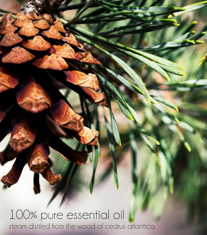 Cedarwood Atlas Essential Oil – 8 fl oz (237 ml) Aluminum Bottle w/Plug Cap – 100% Pure Essential Oil – GreenHealth