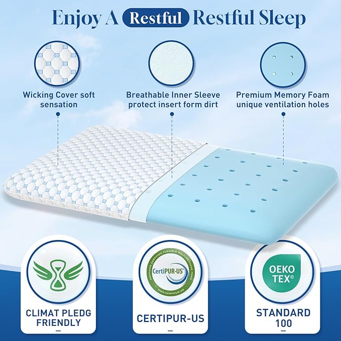 CloudBliss Ultra Slim 2.75” Pillows for Side | Back | Stomach Sleepers, Memory Foam Flat Pillow, Low Profile Sleeper Pillows with Double Sided Comfortable Breathable Pillow Cover, Queen