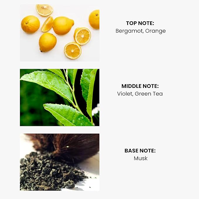 Green Tea Essential Oil for Diffusers - Premium Aromatherapy Oils Set for Home and Hotel, Scented Oil Diffuser for Relaxation, Eco-Friendly, Safe for Family and Pets, Diffuser Refill 100ml