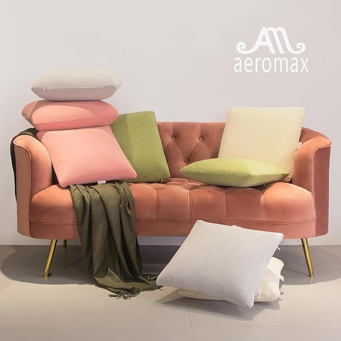 AM AEROMAX 18 ×18 Pillow Insert (Pack of 2) Memory Foam Throw Pillow Insert Sham Square for Decorative Cushion Bed Couch Sofa Without Deform After Longtime Use
