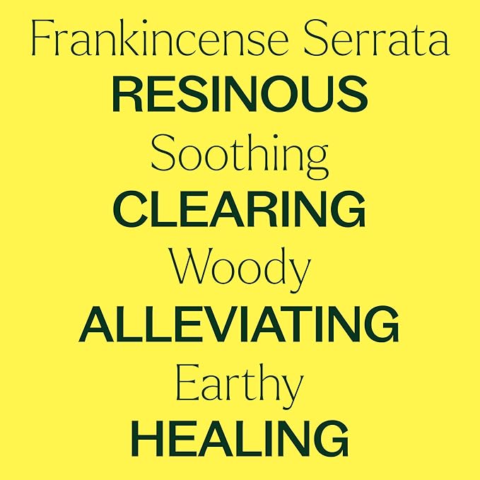 Plant Therapy Frankincense Serrata Essential Oils 100% Pure, Undiluted, Natural Aromatherapy, Frankincense Oil for Diffuser, Skin, Massage, & Joint Health, Therapeutic Grade 10 mL (1/3 oz)