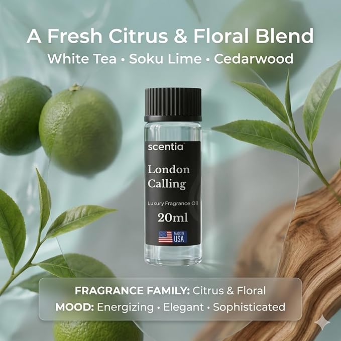 Scentia London Calling Fragrance Oil for Diffusers – Fresh White Tea & Lime Home Scent with Peony, Jasmine & Cedarwood – Diffuser Oil for Ultrasonic, Cold Air & Waterless Diffusers– 20 ml (0.67 fl oz)