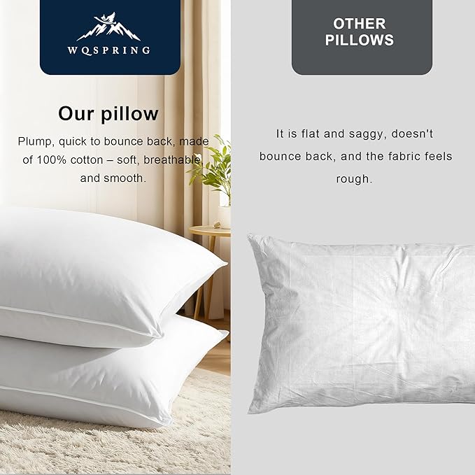 Goose Down Pillow, Hotel Quality with Feather Fill, 750 Fill Power King Size - 2 Pack with Pillowcase for Master Bedroom, Support for Back, Side, Stomach Sleepers (King 20" x 36")