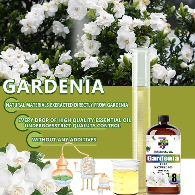 Gardenia Essential Oil - Gardenia Oils for Diffusers, Humidifiers, DIY Candles, Soap, Cleaning, Home, Office, Yoga, Massage, Gifts - 8 fl oz (240 ml) - GV77ZF