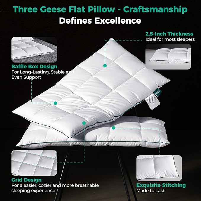 Three Geese Ultra Thin Flat Goose Down Feather Pillows for Sleeping Queen Size, 2.5" Height, 100% Cotton Cover, Ultra Slim Hotel Collection Bed Pillow for Stomach, Back Sleeper, 18x30 in.