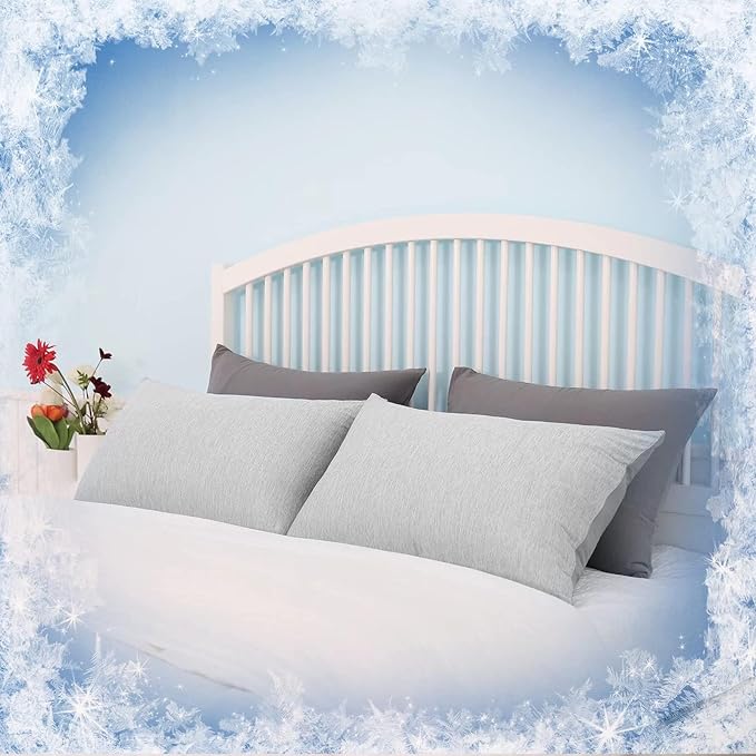 HOMFINE Cooling Pillowcases Standard Size - Double Side Q-Max 0.439 Cooling Fiber Pillow Protector, Breathable Cold Pillow Cover for Hot Sleeper Night Sweat, Hidden Zipper, 2 Pack (20"x26", Grey)