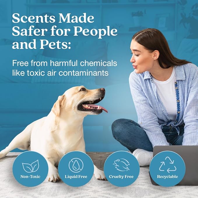 Enviroscent Non-Toxic Air Freshener Plug Hub® Warmer Refillable Kit - Refillable Plug-in Air Freshener - Home Fragrance Lasts Up to 45 Days - Mother’s Day Gift for Mom - Rainwater & Bamboo Scent
