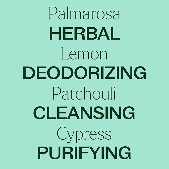 Plant Therapy Deodorizing Essential Oil Blend 30 mL (1 oz) 100% Pure, Undiluted, Therapeutic Grade