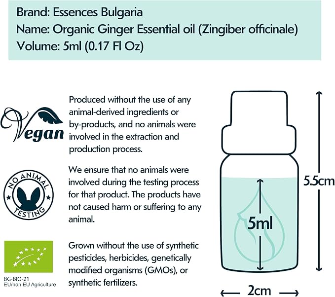 Essences Bulgaria Organic Ginger Essential Oil 0.17 Fl Oz 5ml Zingiber officinale - 100% Pure Natural Undiluted Therapeutic Grade Aromatherapy Oil for Diffuser Humidifier Lymphatic Drainage Massage