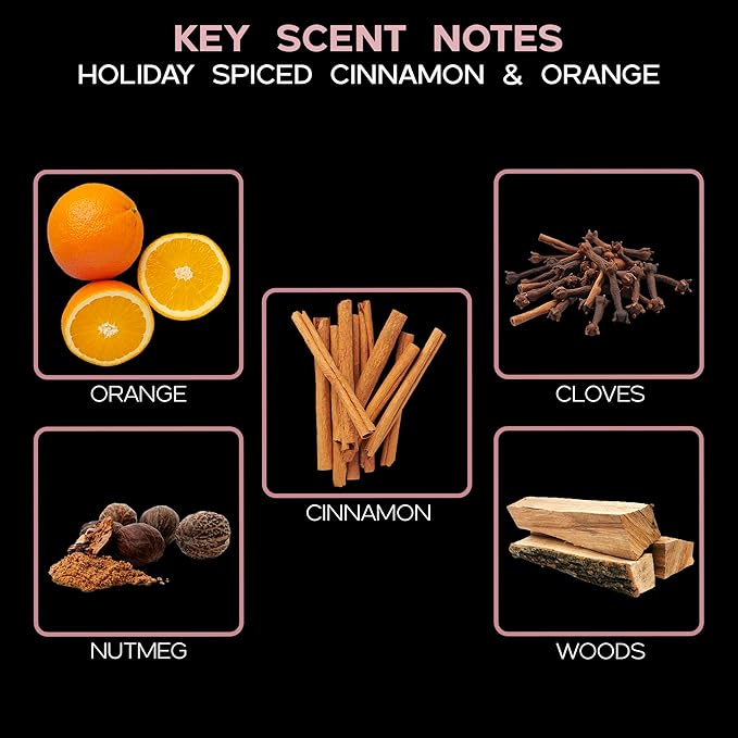 Reed Diffuser Set, Spiced Pomander Orange Cinnamon Scented Oil Diffuser with Sticks, Home Fragrance Accessories for Bathroom Shelf Decor, Aroma Diffusers for Home or Office Desk, USA Made