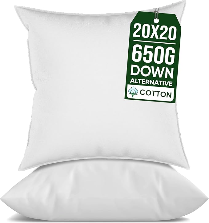 raajsee 20x20 Throw Pillow Inserts Set of 2 - Luxurious Comfort for Your Couch and Sofa | Fluffy, Soft & Durable | Perfect for Decorative Shams | Machine Washable