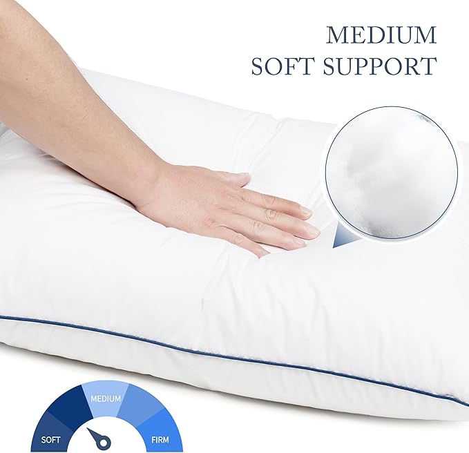 SILUI Flat Soft Thin Pillows Queen Size Set of 2 Pack Bed Pillow with Down Alternative Fill for Side Back Stomach Sleepers, 20x30 Inches, White