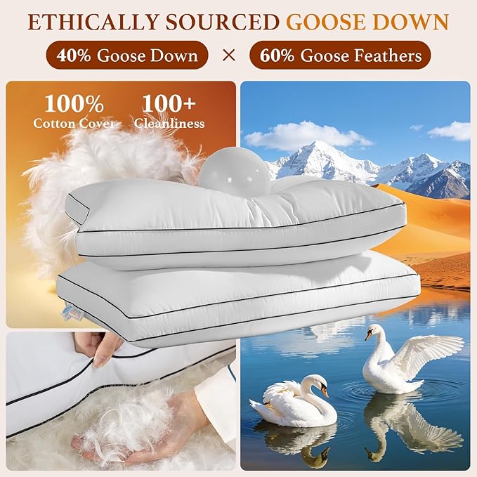 Premium Canadian Goose Down Pillow King Size Set of 1 Pack, 1050+ Fill Power, 100% Cotton Shell, Luxury Hotel Quality Bed Feather Pillow for Side Back Stomach Sleepers(White,20" x 36")
