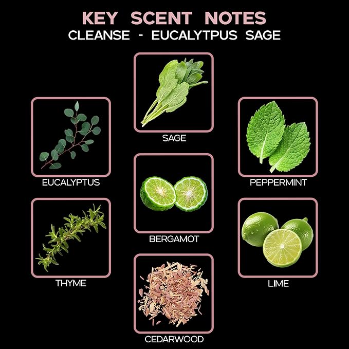 Cleanse Eucalytpus Sage Diffuser Oil - Luxury Essential Oils for Diffuser Refill & Air Freshener Room Spray - Long-Lasting & Natural Home Fragrance, Scented Oil for Diffusers, USA Made, 4oz