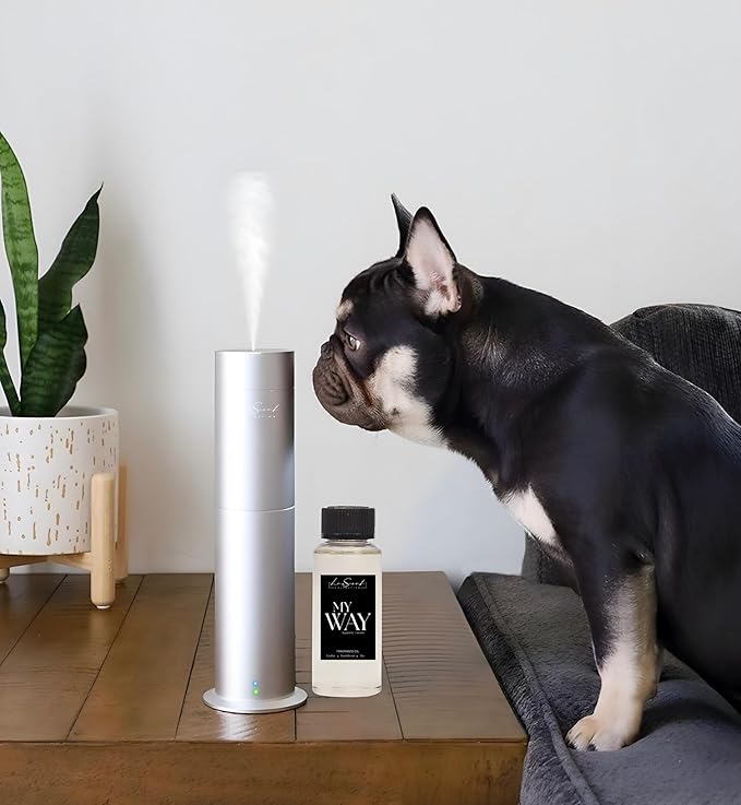 Aroma Scent Diffuser Starter Kit for Up to 1000SQ. FT. Coverage - 120ML Waterless Essential Oil Scent Included - Luxury Aroma Diffuser Ideal for Home, Office & Hotel (Silver, My Way)