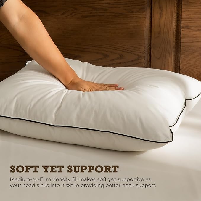 BPC Goose Feather Down Pillows Standard Size Set of 2, Luxury Hotel Pillows with 100% Organic Cotton Cover, Bed Pillow for Medium Firm Support & Cloud-Like Comfort, 20"x26"