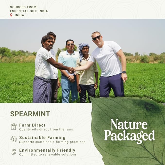 Spearmint Essential Oil - Direct from Essential Oils India - Steam Distilled - Aceite Esencial de Menta Verde for Aromatherapy, Massage, Diffuser, DIY Candle and Soap Making - 8oz