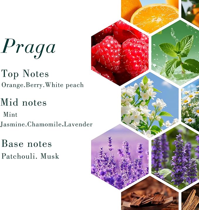 Siesta Praga Oil Aroma Hotel Luxury Scent for Diffuser Oils Praga, 16.9 Fl Oz (500ml) USA Made, Aroma Oil for Diffusers & Hotel Fragrance Oil for Aromatherapy, Bigger Bottle Bolder Long-Lasting Scent