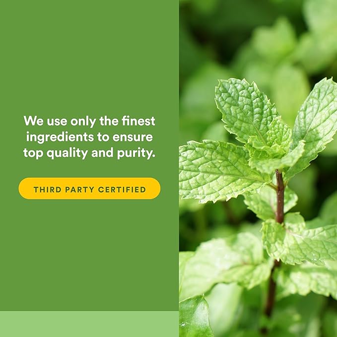 Natural Factors - Peppermint & Oregano Oil Complex, Support for Gastrointestinal Health, 60 Soft Gels
