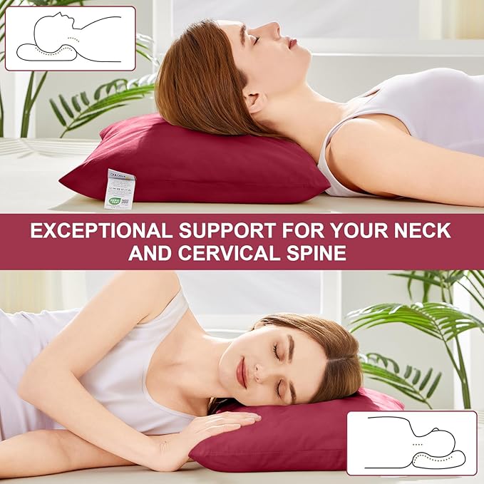 MIOTO Organic Buckwheat Pillow for Sleeping with Dual-Layer Pillowcase and Extra Tartary Buckwheat Hulls, Adjust Height and Firmness, Neck Support Pillow for Back and Side Sleepers 14"x20", Burgundy