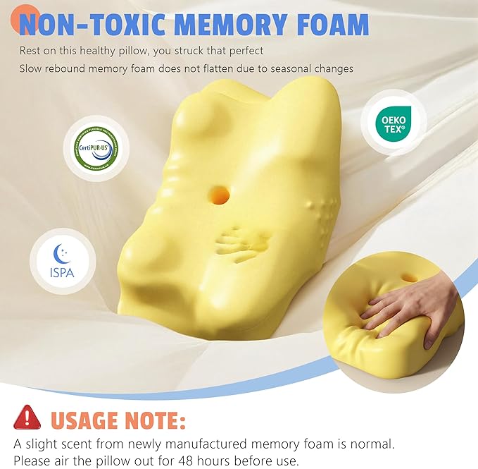 ICSSSSY Cervical Pillow for Neck and Shoulder Pain Relief, Contoured Memory Foam Pillow for Side and Back Sleepers with Removable Pillowcase