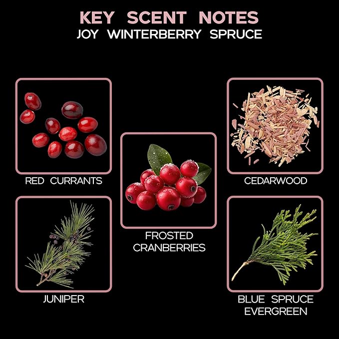 Joy Winterberry Spruce Diffuser Oil - Holiday Essential Oils for Diffuser Refill & Air Freshener Room Spray - Long-Lasting & Natural Home Fragrance, Scented Oil for Diffusers, USA Made, 4oz