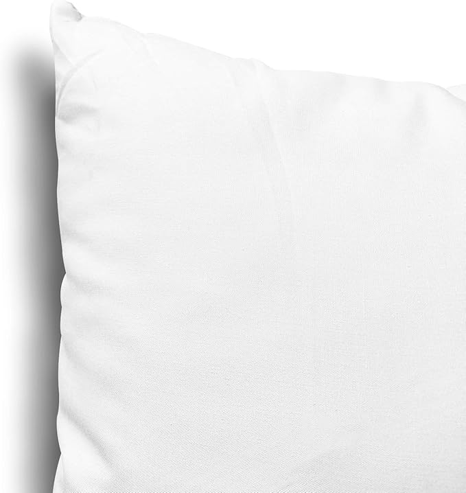 EDOW Throw Pillow Insert, Lightweight Soft Polyester Down Alternative Decorative Pillow, Sham Stuffer, Machine Washable. (White, 28x28)