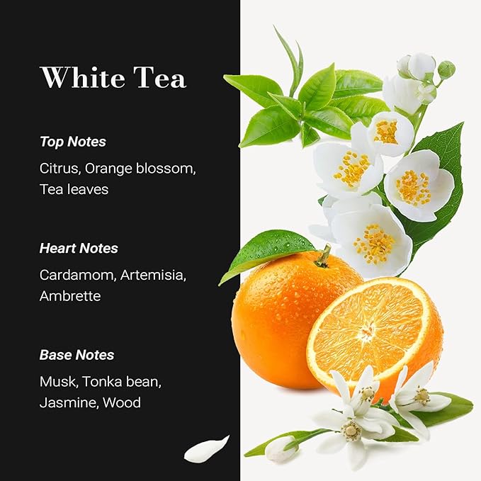 JCLOUD White Tea Hotel Diffuser Oil - 16.9 Fl Oz (500mL) - Luxury Cold Air Diffuser Oil Refill & Hotel Scent Essential Oils Bulk for Home, Aromatherapy, Offices