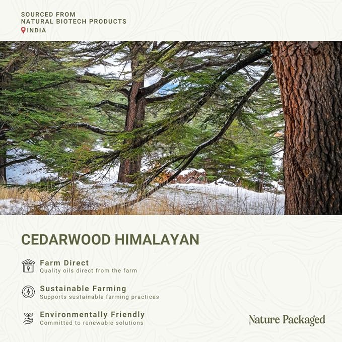 Cedarwood Himalayan Essential Oil - 100% Pure Steam Distilled Natural Cedarwood Himalayan Oil (Aceite de Cedro) from Natural Biotech NBT India for Aromatherapy & DIY Projects - 22lbs