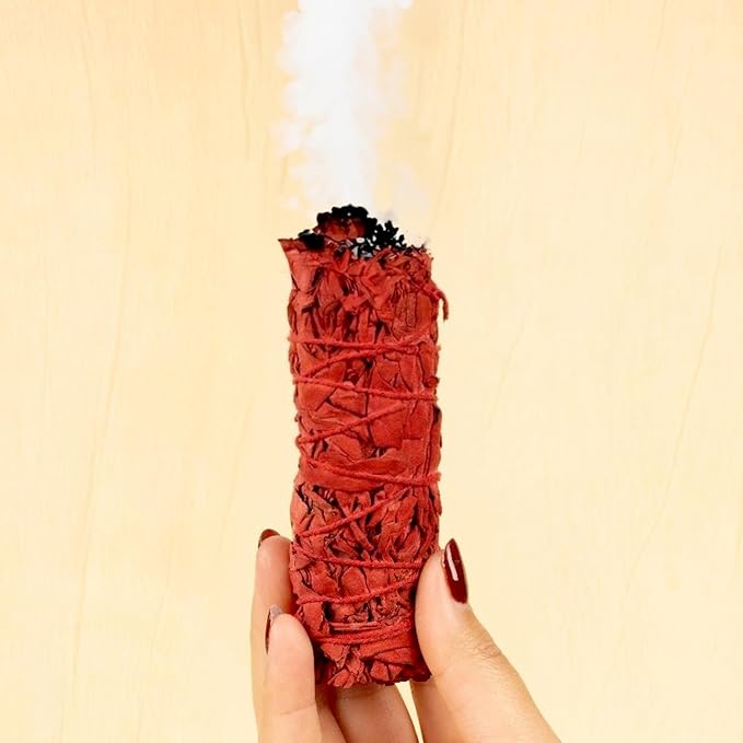 Wish Well Sage Smudge Kit - 3 Dragon's Blood Sage Sticks, 2 Palo Santo, 5-6" Abalone Shell, Stand, Feather - Cleansing House, Meditation, Energy Healing & Reiki, Perfect Starter Kit with Instructions