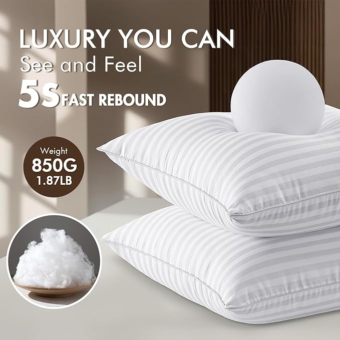 MIULEE 20x20 Pillow Inserts, Firm and Fluffy Decorative Throw Pillows for Couch Sofa Bed, Down Alternative with 100% Cotton Cover Pack of 4