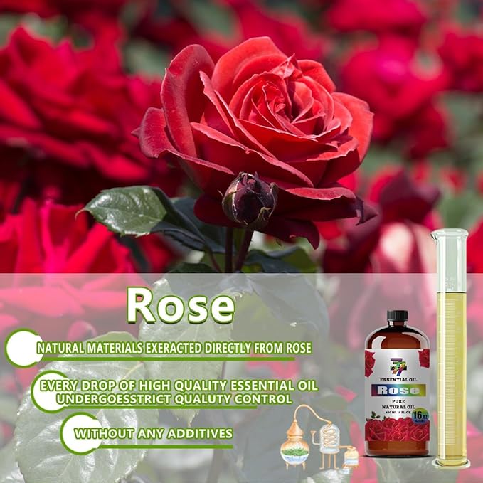 Rose Essential Oil - Rose Oils for Diffusers, Humidifiers, DIY Candles, Soap, Cleaning, Home, Office, Yoga, Massage, Gifts - 16 fl oz (480 ml) - GV77ZF