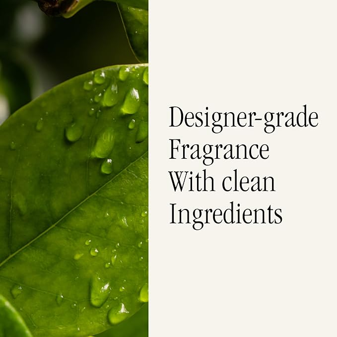 Pura Malodor Scent Refill - Smart Home Air Diffuser - Long-Lasting Premium Fragrance per Refill - Clean Diffuser Fragrance - Air Deodorizer & Odor Eliminator - 2 Pack, Citrus Leaves