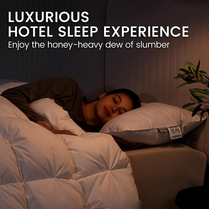 Alanzimo Goose Feathers Down Pillows King Size Set of 2, Hotel Collection Fluffy Bed Pillows for Sleeping, 100% Cotton Cover Soft Pillow 20x36 2 Pack