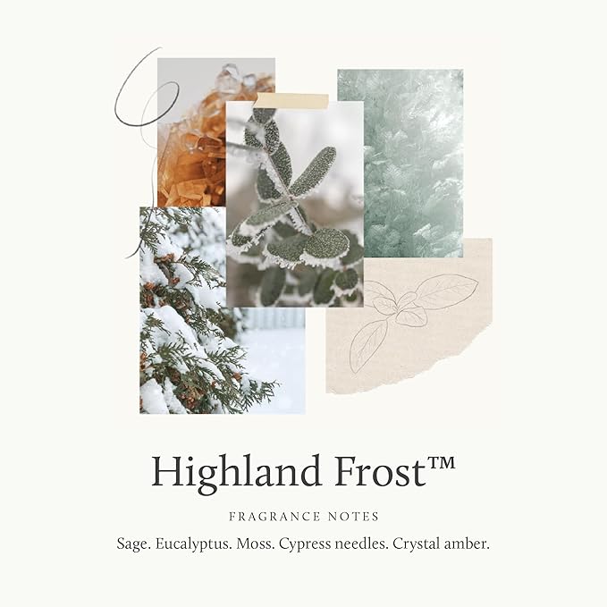 Thymes Home Fragrance Mist – Room Air Fresheners for Home Long Lasting – Air Freshener Spray – Premium Home Fragrance with Crisp Notes of Sage, Eucalyptus, & Cypress Needles (Highland Frost, 3 oz)