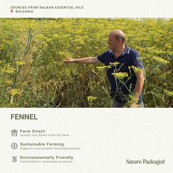 Fennel Essential Oil (Sweet Fennel) - Direct from Balkan Essential Oils - Pure Aromatherapy Diffuser Oils | 100% Pure Therapeutic Grade Natural Aceite de Hinojo - 22lbs