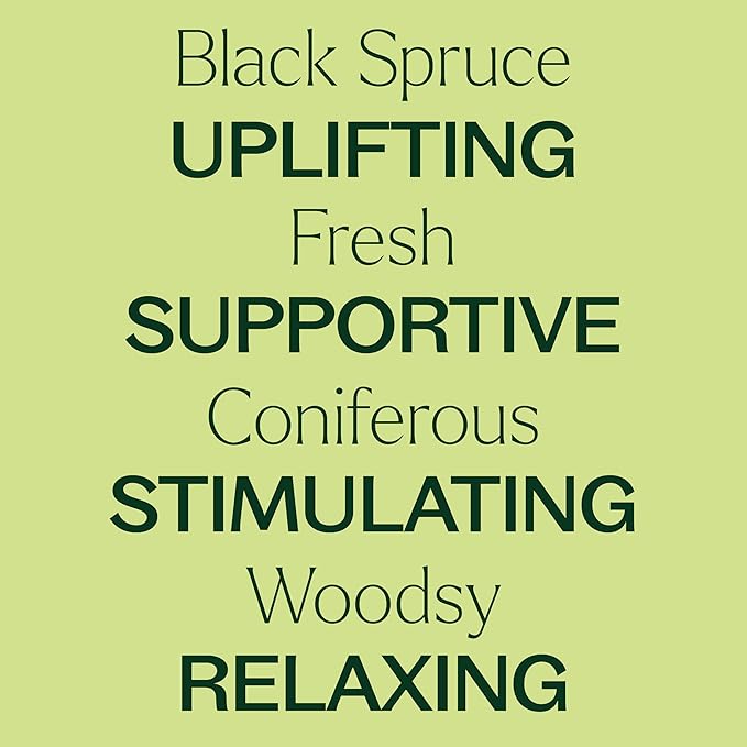 Plant Therapy Black Spruce Essential Oil 30 mL (1 oz) 100% Pure, Undiluted, Aromatherapy, Respiratory Support, Sore Muscle Relief