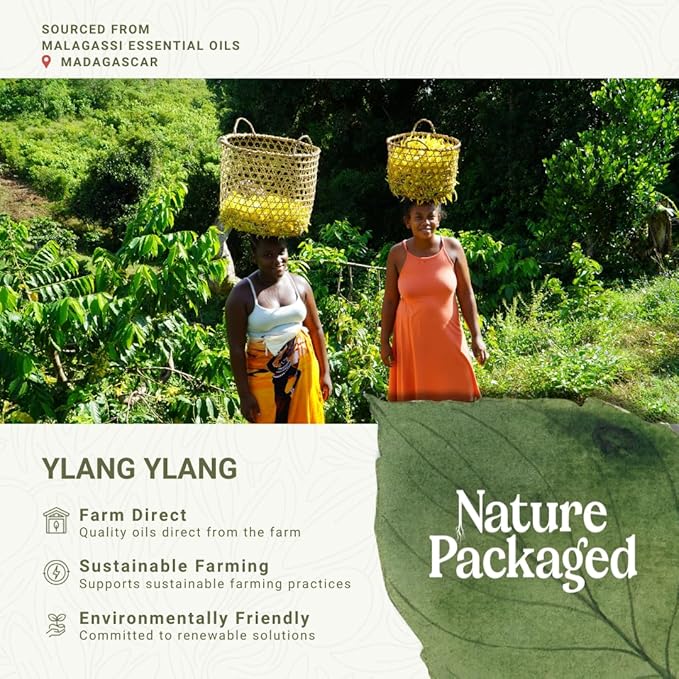 Ylang Ylang Essential Oil - Direct from Malagassi Essential Oils Madagascar - Steam Distilled - Aceite de Ylang Ylang for Aromatherapy, Diffuser, DIY Candle and Soap Making - 2lbs