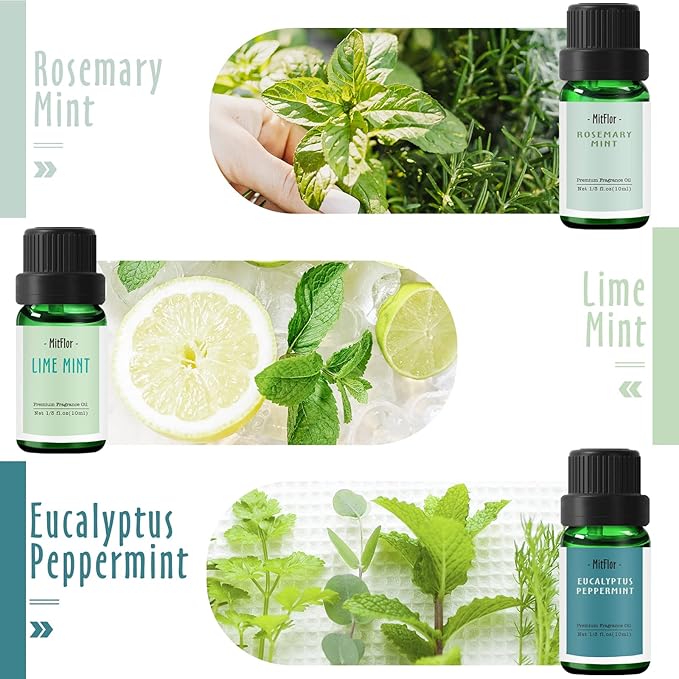Fragrance Oils Set of Mints, MitFlor Premium Scented Oils for Diffuser, Soap & Candle Making Scents, Refreshing Home Fragrance, Aromatherapy Oil Gift Set, Cedarwood Mint, Coconut Mint and More, 6x10ml