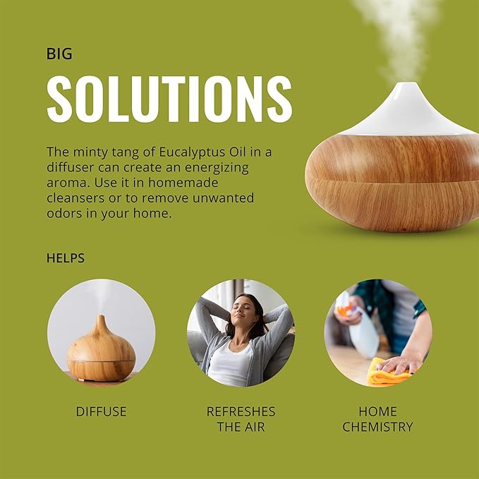 Lab Bulks Essential Oil Eucalyptus Essential Oil (2 Pack) for Diffusers, Home Care, Candles, Aromatherapy, 16 oz Bulk Bottle, Eucalyptus Oil Spray