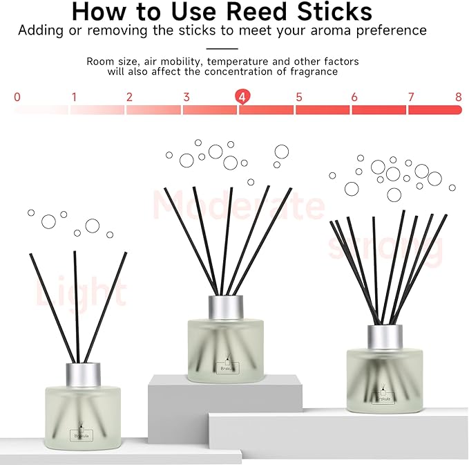 Brakula Reed Diffuser Set, 100ml Bamboo & White Tea Scented Essential Oil Diffuser, Home Fragrance for Living Room, Bathroom, Office