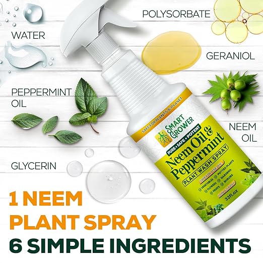 Neem Oil Spray for Plants with Peppermint Oil, Natural Plant Wash Made for Indoor Household Plants Smart Grower 32oz Easy Ready to Use Spray