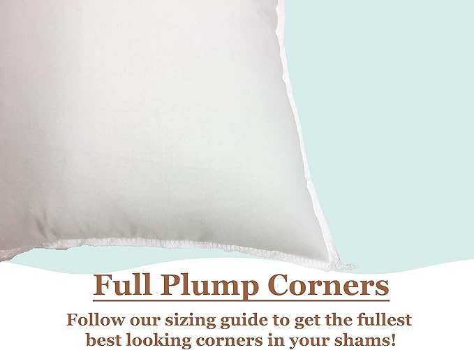 Pillowflex Set of 2 Synthetic Down Alternative Pillow Inserts for Shams, Soft & Plush Pillow Inserts, Faux Down Alternative Pillows or Micro Denier, Cotton Blended Shell Fabric - (12 Inch by 16 Inch)